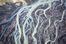 Aerial shot of a group of Mute swans and gulls, Switzerland-Mateusz Piesiak-Photographic Print