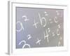 Math-null-Framed Photographic Print