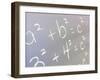 Math-null-Framed Photographic Print