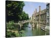 Mathematical Bridge and Punts, Queens College, Cambridge, England-Nigel Francis-Stretched Canvas