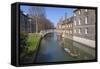 Mathematical Bridge, Connecting Two Parts of Queens College, with Punters on the River Beneath-Charlie Harding-Framed Stretched Canvas