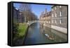 Mathematical Bridge, Connecting Two Parts of Queens College, with Punters on the River Beneath-Charlie Harding-Framed Stretched Canvas