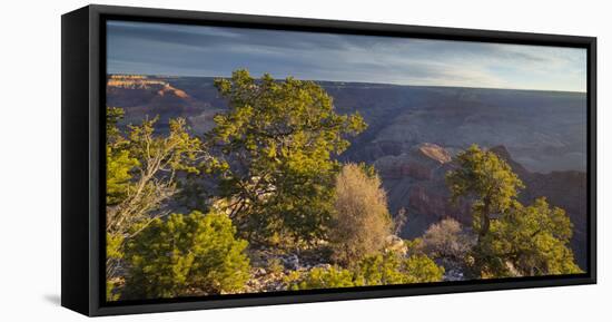 Mather Point, South Rim, Grand Canyon National Park, Arizona, Usa-Rainer Mirau-Framed Stretched Canvas