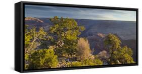 Mather Point, South Rim, Grand Canyon National Park, Arizona, Usa-Rainer Mirau-Framed Stretched Canvas