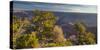 Mather Point, South Rim, Grand Canyon National Park, Arizona, Usa-Rainer Mirau-Stretched Canvas