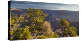 Mather Point, South Rim, Grand Canyon National Park, Arizona, Usa-Rainer Mirau-Stretched Canvas