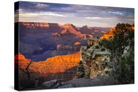 Mather Point Sunset I-Alan Hausenflock-Stretched Canvas