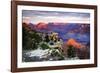 Mather Point Sunset III-Alan Hausenflock-Framed Photographic Print