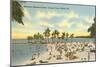 Matheson Hammock Beach, Miami, Florida-null-Mounted Art Print