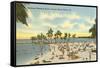 Matheson Hammock Beach, Miami, Florida-null-Framed Stretched Canvas