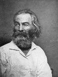 Walt Whitman (1819-189), American Poet, C1880S-MATHEW B BRADY-Giclee Print