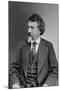 Mathew Brady, Father of Photojournalism-Science Source-Mounted Giclee Print