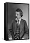 Mathew Brady, Father of Photojournalism-Science Source-Framed Stretched Canvas
