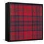 Mathieson Tartan-null-Framed Stretched Canvas
