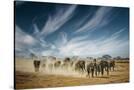 Stretched Canvas
