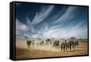 Canvas Black