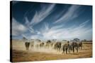 Stretched Canvas