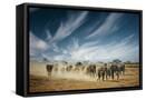 Framed Canvas