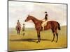 'Matilda' with Robinson, 1827-John Frederick Herring Jnr-Mounted Giclee Print