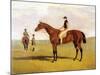 'Matilda' with Robinson, 1827-John Frederick Herring Jnr-Mounted Giclee Print