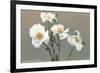 Matilija Poppies-null-Framed Premium Giclee Print