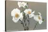 Matilija Poppies-null-Stretched Canvas