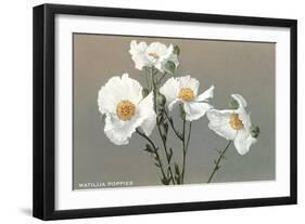 Matilija Poppies-null-Framed Art Print