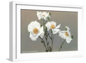 Matilija Poppies-null-Framed Art Print