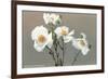 Matilija Poppies-null-Framed Art Print