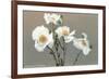 Matilija Poppies-null-Framed Art Print