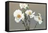 Matilija Poppies-null-Framed Stretched Canvas