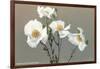 Matilija Poppies-null-Framed Art Print