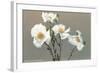 Matilija Poppies-null-Framed Art Print