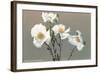 Matilija Poppies-null-Framed Art Print