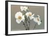 Matilija Poppies-null-Framed Art Print