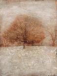 Rustic Poplars-Matina Theodosiou-Art Print
