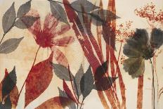 Rustic Poplars-Matina Theodosiou-Art Print