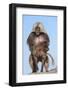 Mating Gelada Baboons (Theropithecus Gelada)-Gabrielle and Michel Therin-Weise-Framed Photographic Print