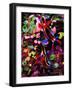 Mating of Two Specimen of Nembrotha Purpureolineolata-Andrea Ferrari-Framed Photographic Print