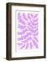 Matisse Inspired Poster. Contemporary Collage. Organic Shapes, Botanical Elements.-Lera Danilova-Framed Photographic Print