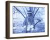 Matlo or Emathla-null-Framed Premium Photographic Print