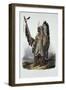 Mato-Tope, a Mandan Chief, Plate 13 from Volume 2 of "Travels in the Interior of North America"-Karl Bodmer-Framed Giclee Print