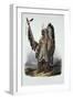 Mato-Tope, a Mandan Chief, Plate 13 from Volume 2 of "Travels in the Interior of North America"-Karl Bodmer-Framed Giclee Print