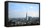 Framed Canvas