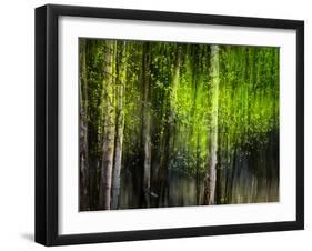 Matrix-Ursula Abresch-Framed Premium Photographic Print