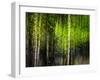 Matrix-Ursula Abresch-Framed Premium Photographic Print