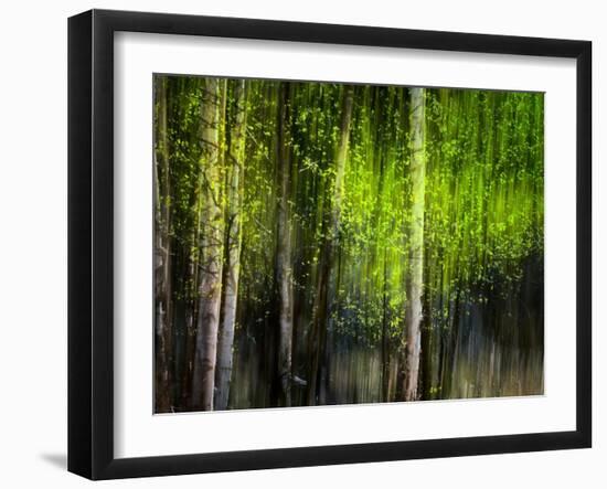 Matrix-Ursula Abresch-Framed Photographic Print