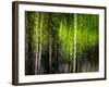 Matrix-Ursula Abresch-Framed Photographic Print