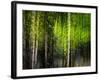 Matrix-Ursula Abresch-Framed Photographic Print