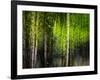 Matrix-Ursula Abresch-Framed Photographic Print